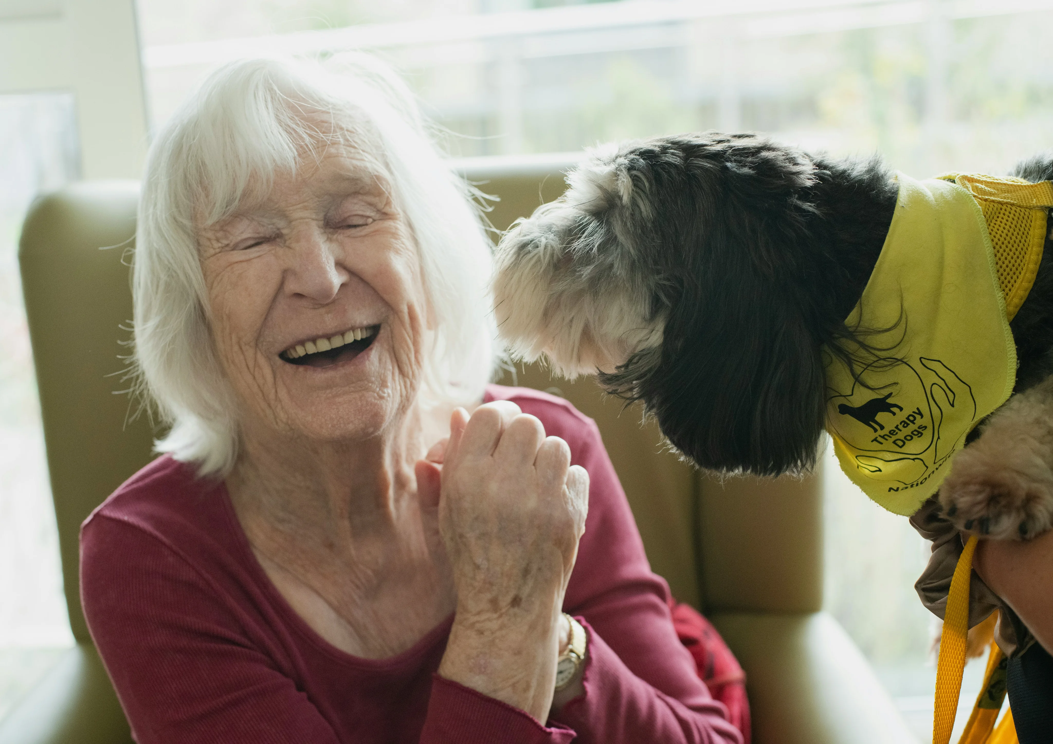 Eine Seniorin wird auf der Wange von einem kleinen Hund mit der Nase angestupst. Sie ist sichtlich erfreut über die Interaktion.