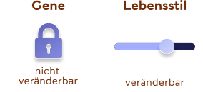 Grafik stellt die Unveränderlichkeit der Gene als Schloss und die Veränderbarkeit des Lebensstils als Schiebe-Regler dar. 