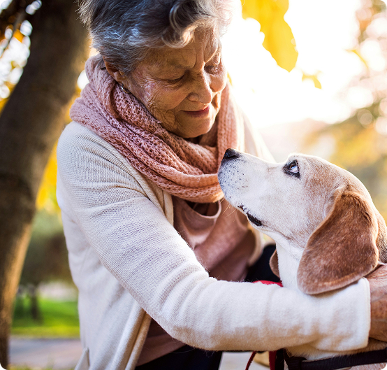 Eine Seniorin hällt einen Hund im Arm. Sie schaut glücklich auf den Hund hinab. 